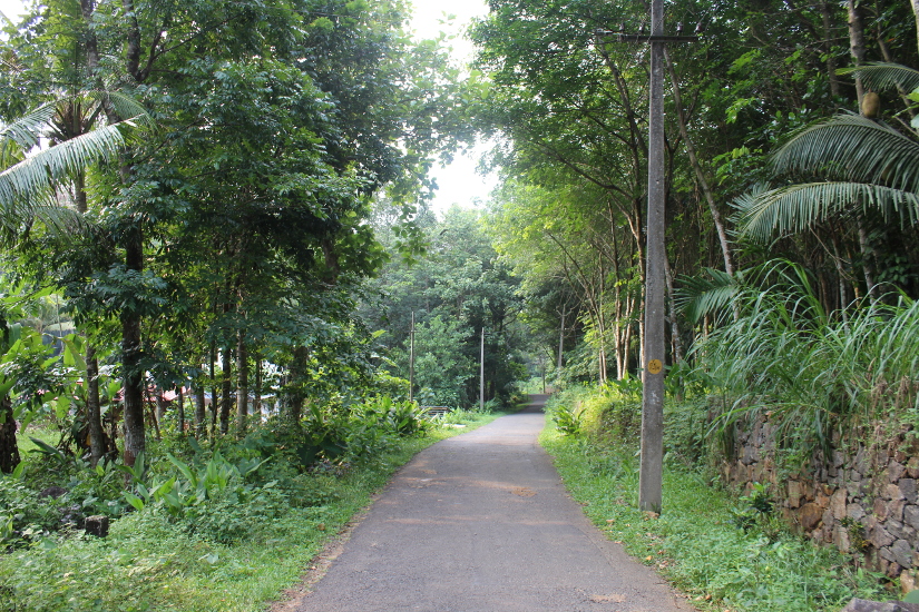 The road infront of our house...far far away from the crowded city.